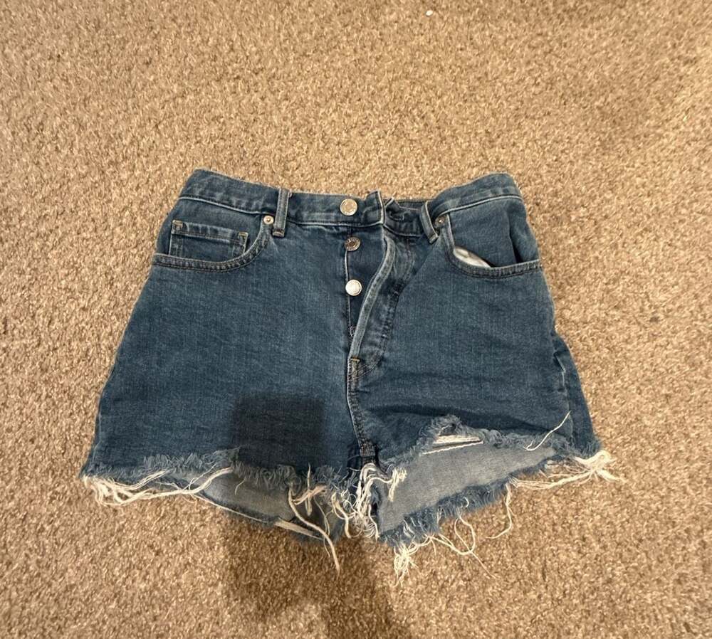 Everlane The Cheeky Short Size 25